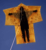 http://www.kites.co.nz/html%20pages/kimono.htm